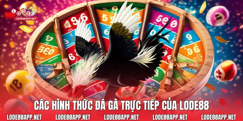 Các hình thức đá gà trực tiếp của Lode88