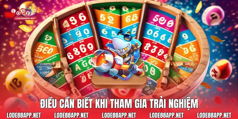 Điều cần biết khi tham gia trải nghiệm