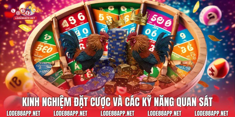 Kinh nghiệm đặt cược và các kỹ năng quan sát