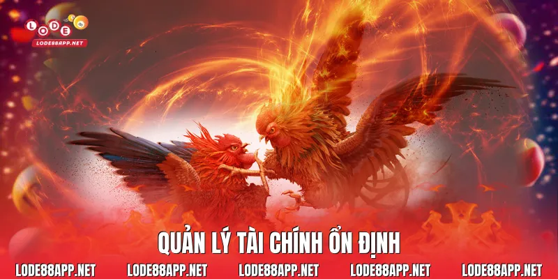 Quản lý tài chính ổn định