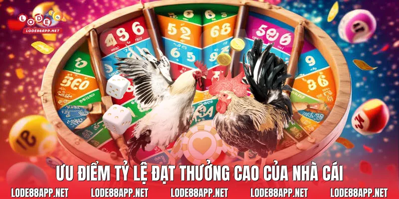 Ưu điểm tỷ lệ đạt thưởng cao của nhà cái 